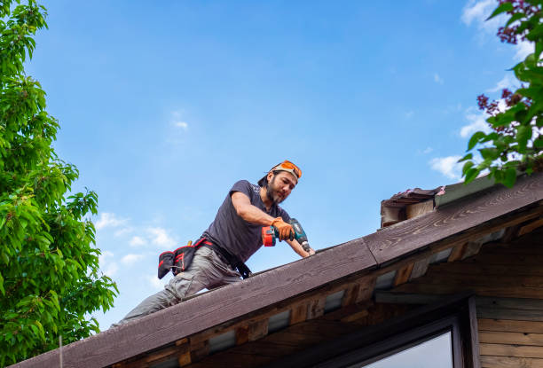 Best Green or Eco-Friendly Roofing Solutions  in Edison, GA