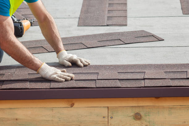Best Solar Panel Roofing Installation  in Edison, GA